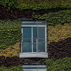 Cross Sectional #1 (May , 2019)