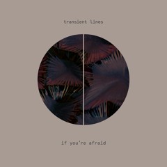Premiere: Transient Lines - If You're Afraid [Radicalis]