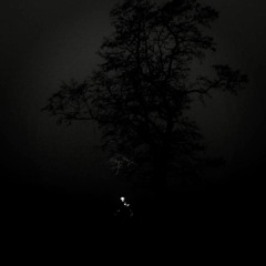 Light in the Dark