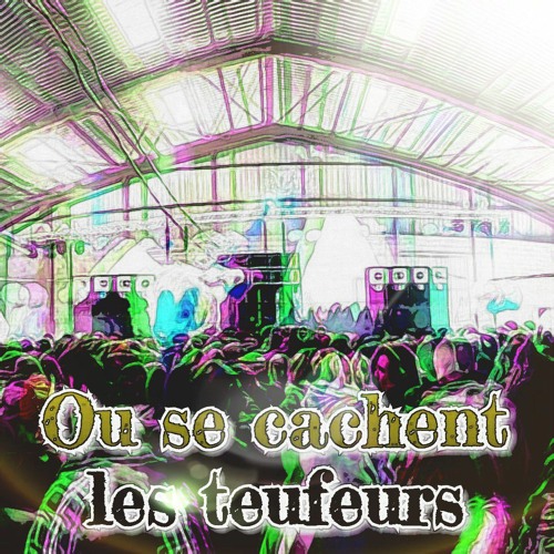 Ou se cachent les teufeurs (Modular livetrack)