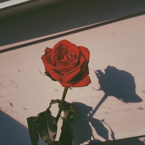 Stream Juice WRLD X The Kid LAROI '100 Roses' Type Beat by tris_wyld