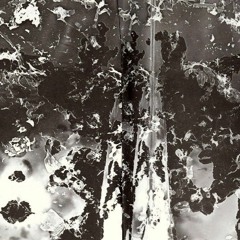 The VAN Podcast – Episode 3: Nathan O’Donnell and Marysia Wieckiewicz-Carroll