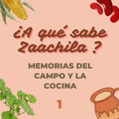 ¿A qué sabe Zaachila? Memorias del campo y la cocina. Parte 1: del campo a la mesa