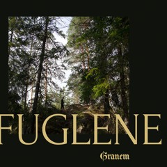 Granem - Fuglene