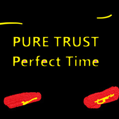 PURE TRUST - Perfect Time
