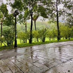 summer rain