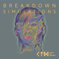 Breakdown Simulations