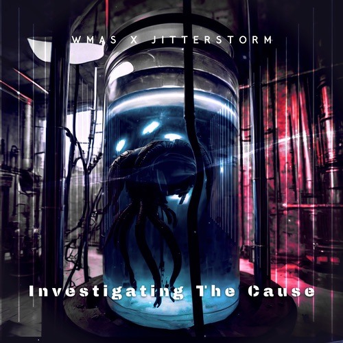 WMAS x Jitterstorm - Investigating The Cause