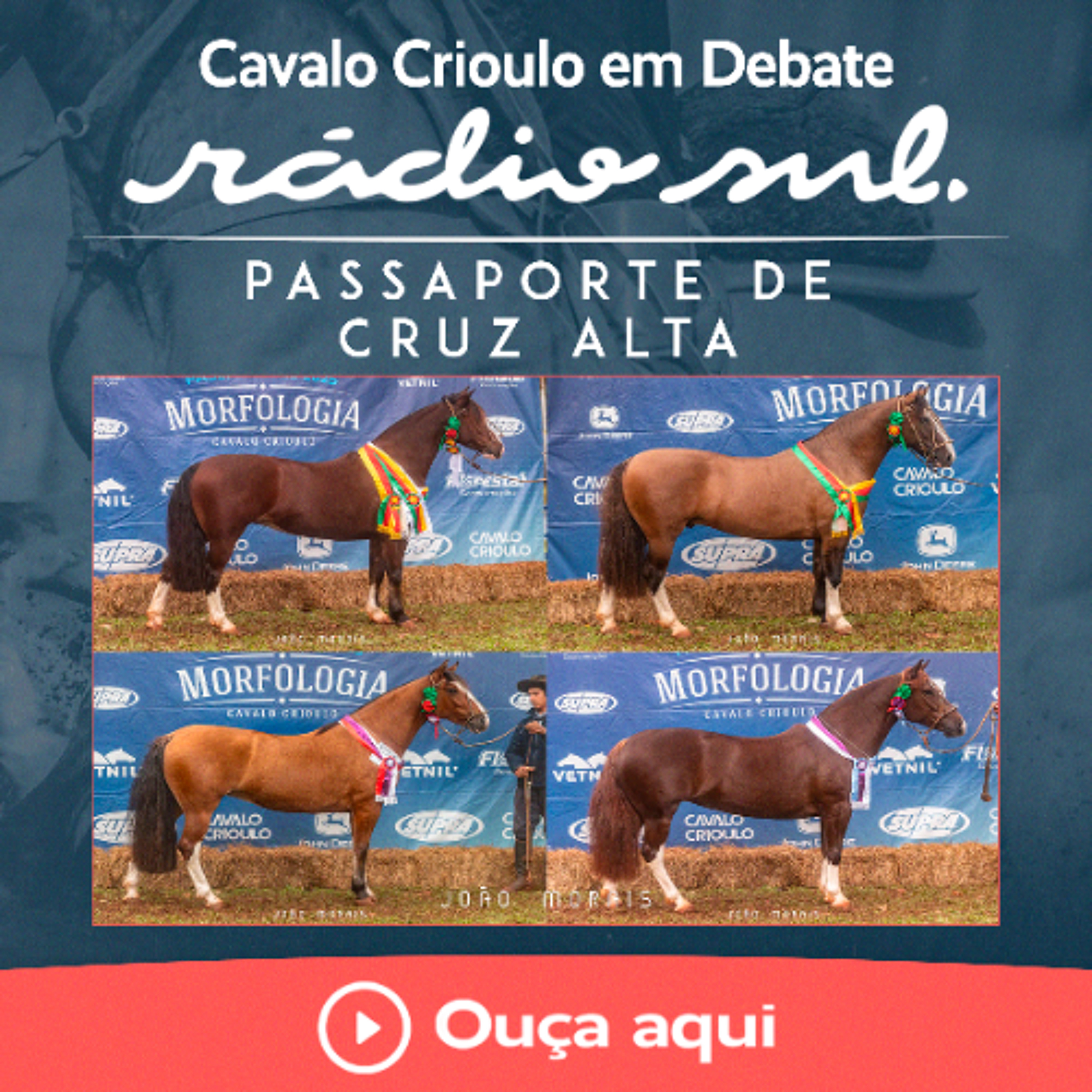Radiosul.net