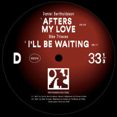 PREMIERE: Bike Thieves - I'll Be Waiting [Västkransen Records]