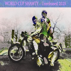 dj world cup - FUDDASHI x TIL LOVE BREAKS DOWN