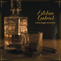 Videos Y Fotos(Slowed)-Esteban Gabriel