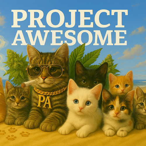 Project Awesome- Summer Breeze club mix