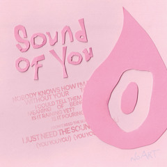 Sound of You (ft TEED)