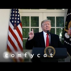 l o f i b e a t - trump's coronavirus speech