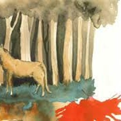 O lobo e a lagoa - Lula Côrtes (2008)