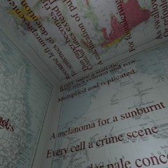 Alison Whittaker - A Love Like Dorothea's