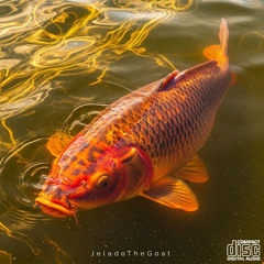 Look Alive (Prod. 808 Vibes)