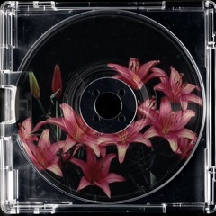 Sarah Wolff @ Animado – Techno Set | Artheater, Köln