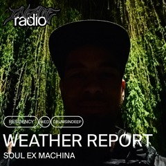 Weather Report - Vol 03