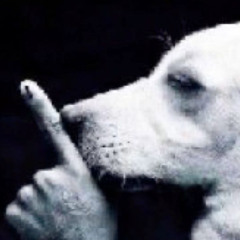 idk pass that junt AAAAAA FUCK