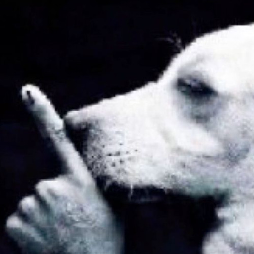 idk pass that junt AAAAAA FUCK