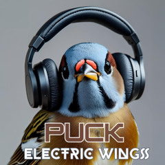 Electric Wings