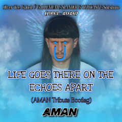 Oliver Tree Vs Jack Ü Vs SLANDER Vs TELYKAST - Life Goes There On The Echoes Apart (AMAN Bootleg)