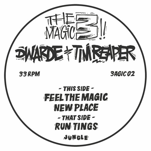 AA2. Dwarde & Tim Reaper - New Place (128 MP3 CLIP - 12" Vinyl Pre Order Up Now)