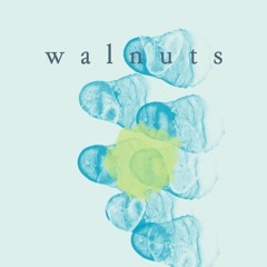 Walnuts (instrumental)