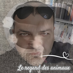 Le regard des animaux