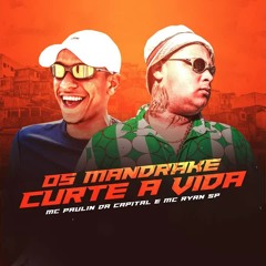 Os Mandrake Curte a Vida - MC Paulin da Capital e MC Ryan SP (DJ Pedro)
