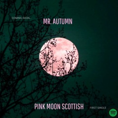 Mr . Autumn - Pink Moon Scottish