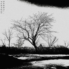 Purpose (prod @saint.beatmaker)