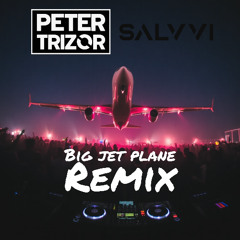 Angus and Julia Stone - Big Jet Plane (PETER TRIZOR & SALVVI BOOLTLEG)