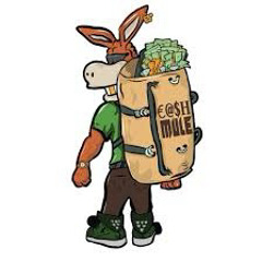 Cash Mule