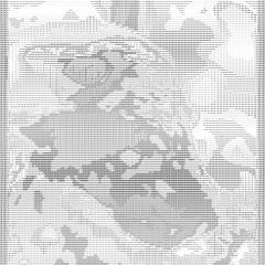 Grave for Swans and Youth [AudioVisual Particles]