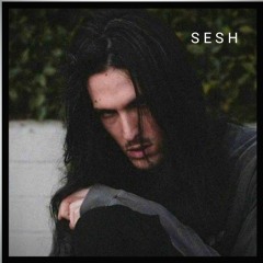 TEAM  SESH