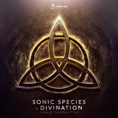 Liquid Connective (Original Mix)