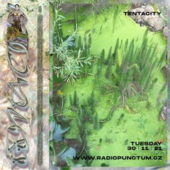 Tentacity 11/21 by Ida Elastic w/ Seafur_Merengue