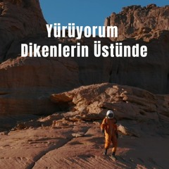 Yürüyorum Dikenlerin Üstünde (Remıx) - Barabar - Muzaffer Özcaner