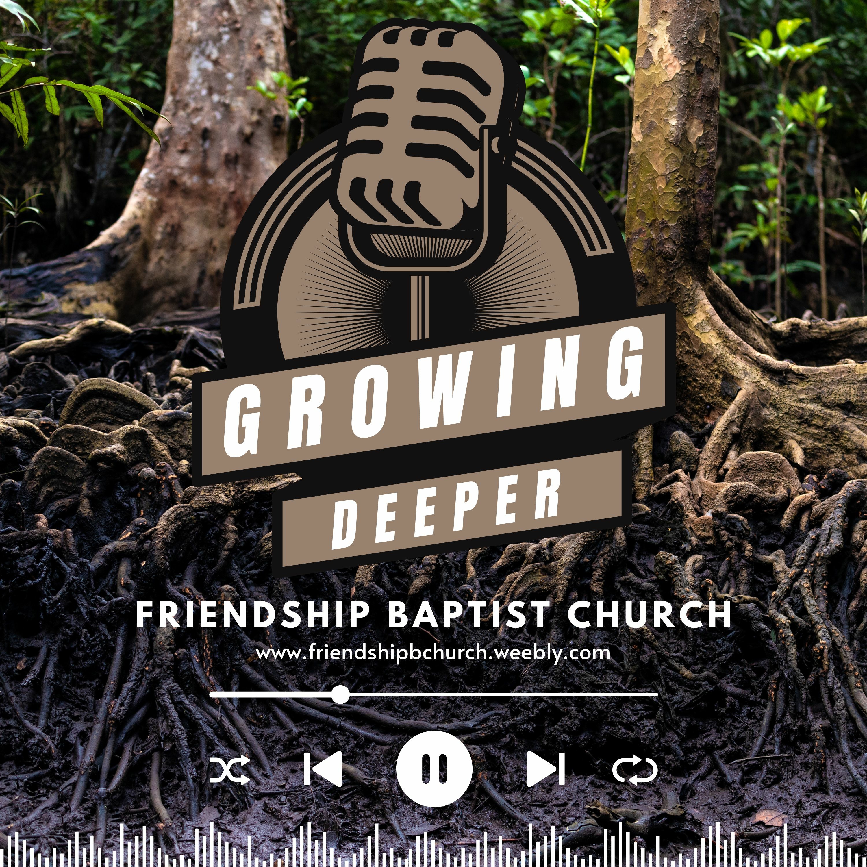 Growing Deeper - Episode 2 - God Is The Author Of Our Story episode artwork