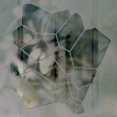Glass Garden 011 | wuachuma — Tender Earth