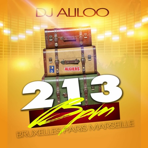 213BPM - Dj Aliloo - 2021