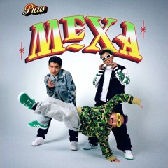 Picus - MEXA