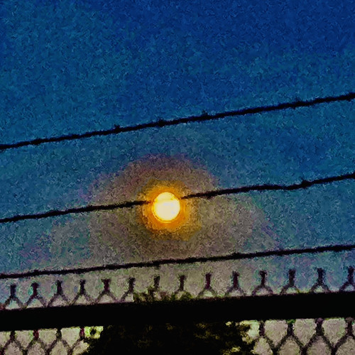 a painted sky