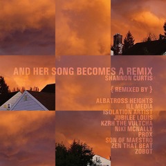 Shannon Curtis - Clouds (Niki McNally Remix)