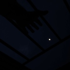 COBARDIA (feat @treintaitres)