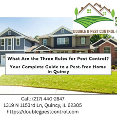 The_Three_Rules_for_Effective_Pest_Control_in_Quincy