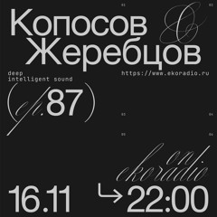 Peter Zherebtsov & Sergey Koposov - Deep Intelligent Sound 087 (16.11.22) 1 Hour